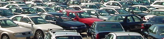 used cars on a dealership lot